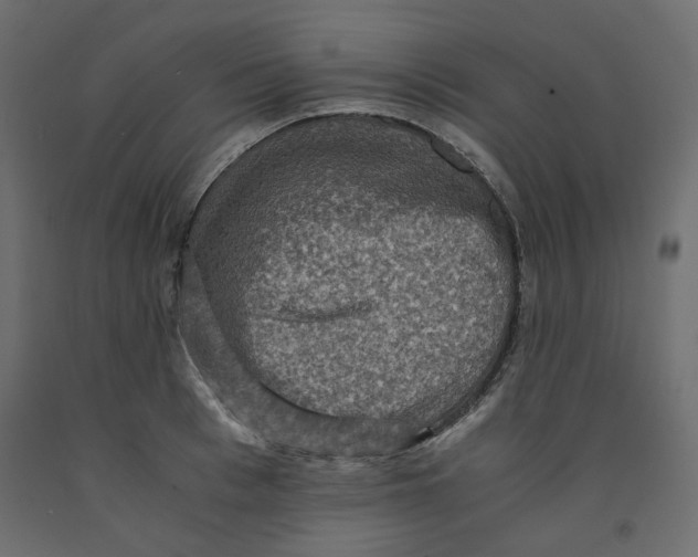 X0000091960993200710041024