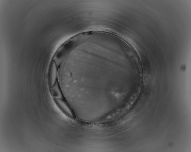 X0000091960995200710041024