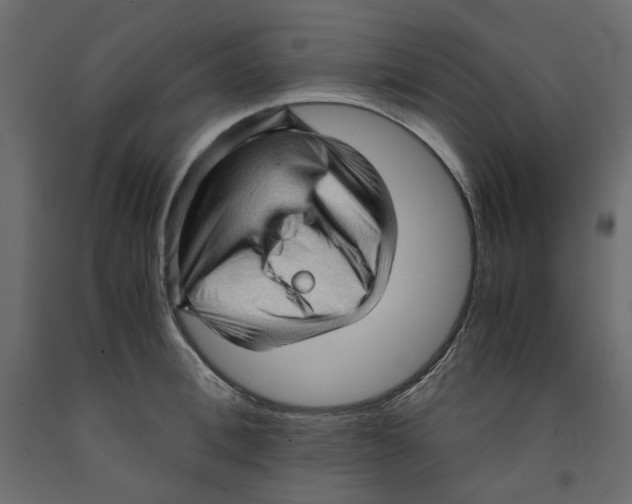 X0000091960996200710041024
