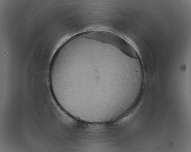 X0000091960997200710041024