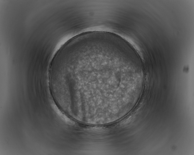 X0000091960998200710041024