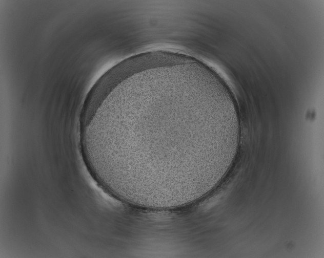 X0000091960999200710041024