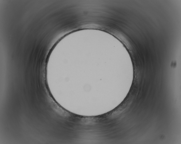 X0000091961000200710041024
