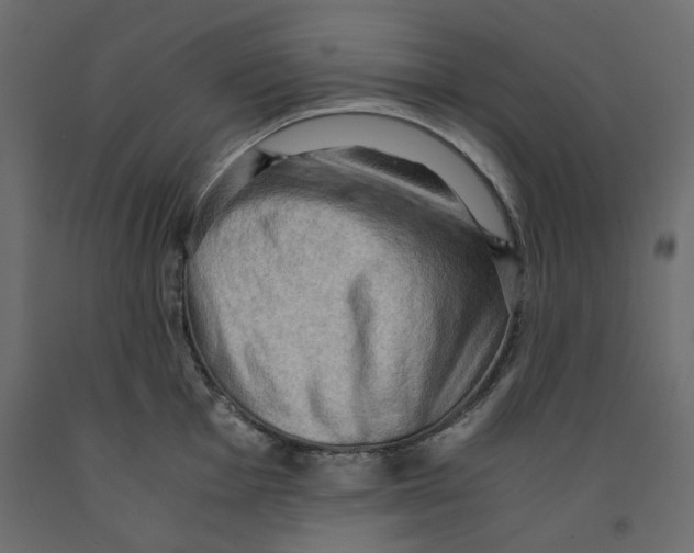 X0000091961001200710041024