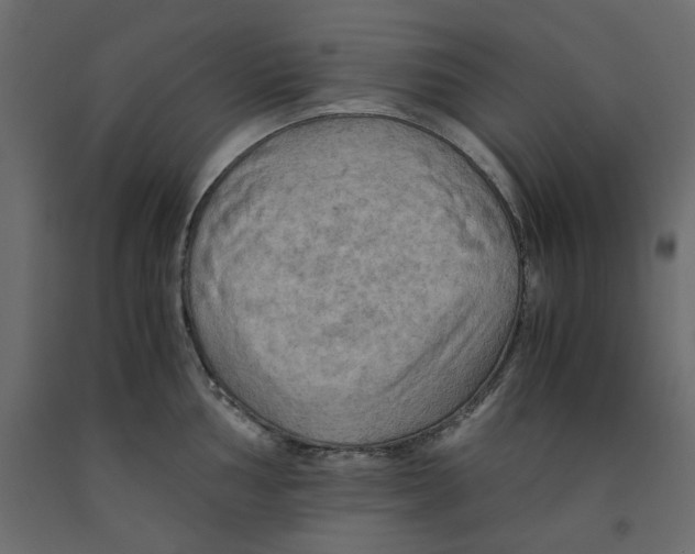 X0000091961002200710041024