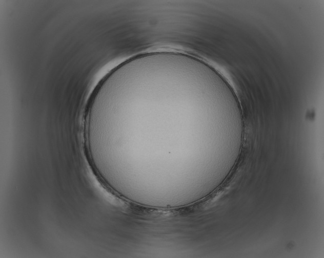 X0000091961003200710041024
