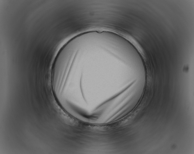 X0000091961004200710041024