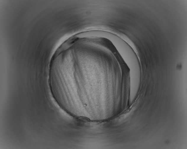 X0000091961005200710041024