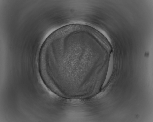 X0000091961007200710041024