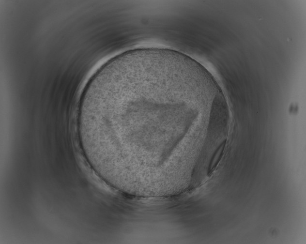 X0000091961008200710041024