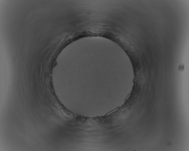 X0000091961009200710041024