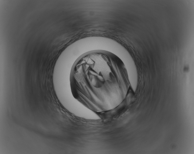 X0000091961010200710041024