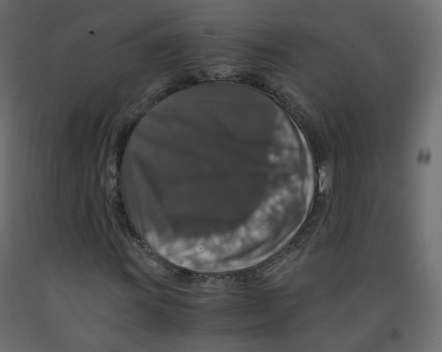 X0000091961011200710041024