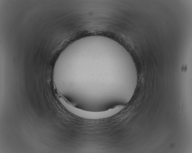 X0000091961012200710041024