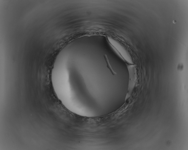 X0000091961013200710041024