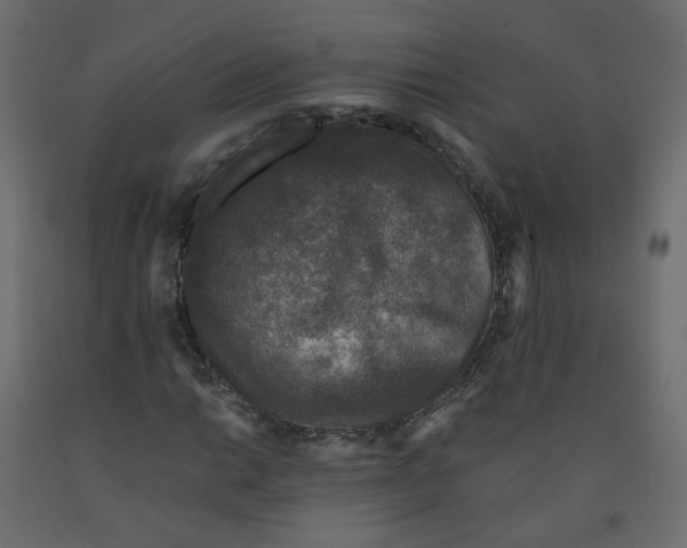 X0000091961014200710041024