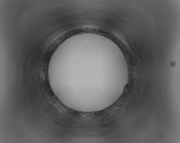 X0000091961015200710041024