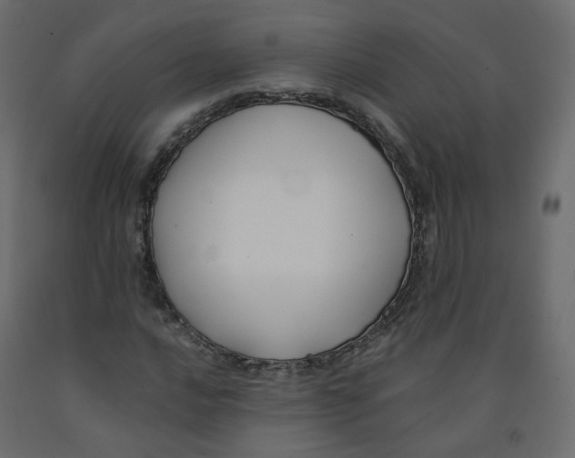 X0000091961016200710041024
