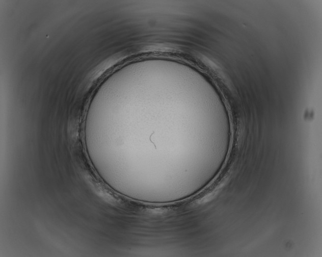 X0000091961017200710041024