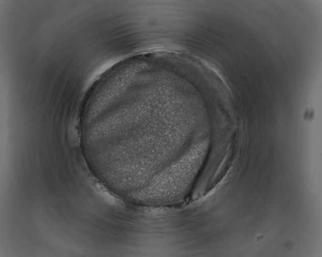 X0000091961018200710041024