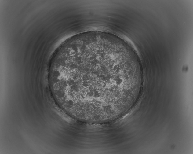 X0000091961019200710041024