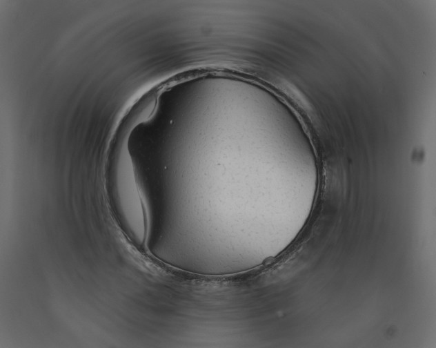 X0000091961020200710041024