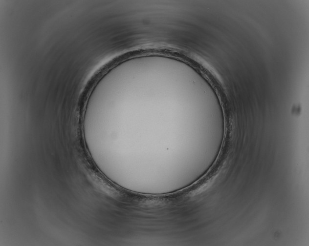 X0000091961021200710041024