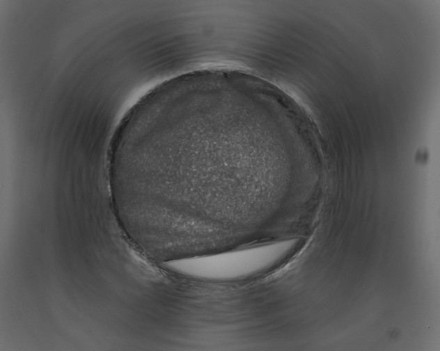 X0000091961022200710041024