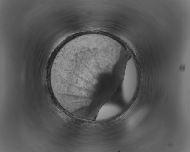 X0000091961023200710041024