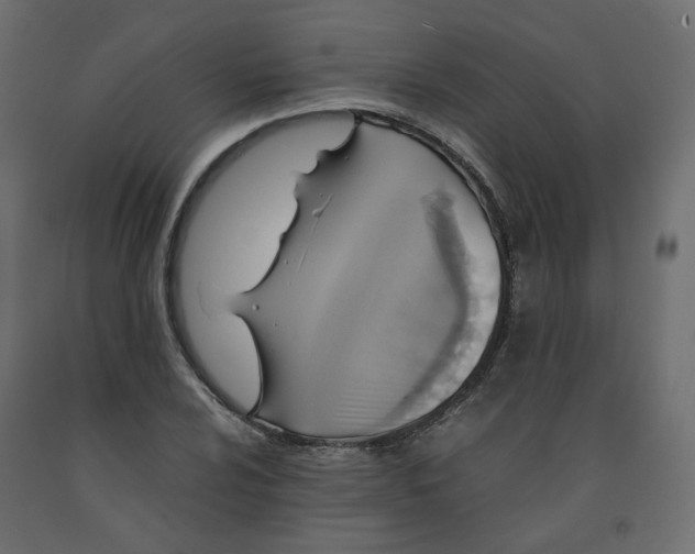 X0000091961024200710041024