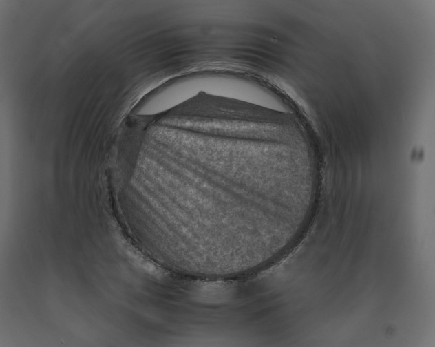 X0000091961025200710041024