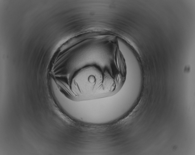 X0000091961026200710041024