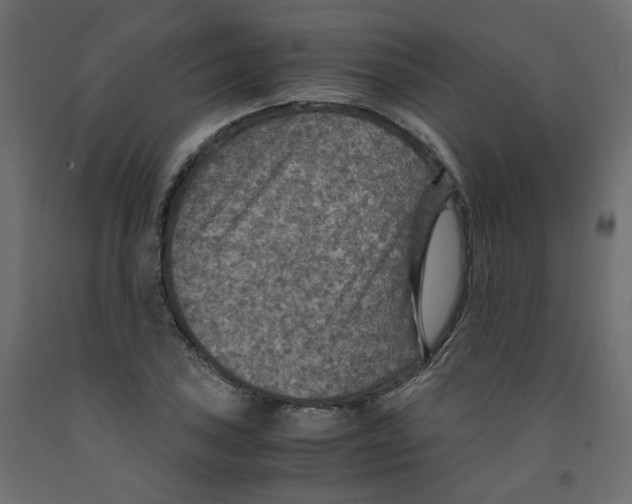 X0000091961027200710041024