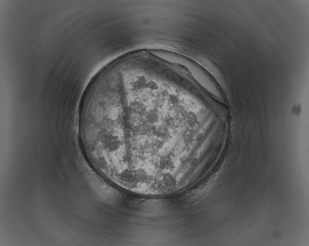 X0000091961028200710041024