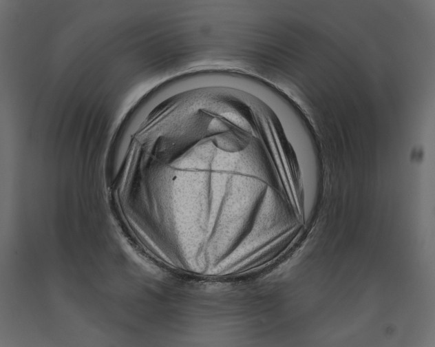 X0000091961030200710041024