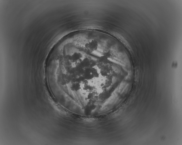 X0000091961031200710041024
