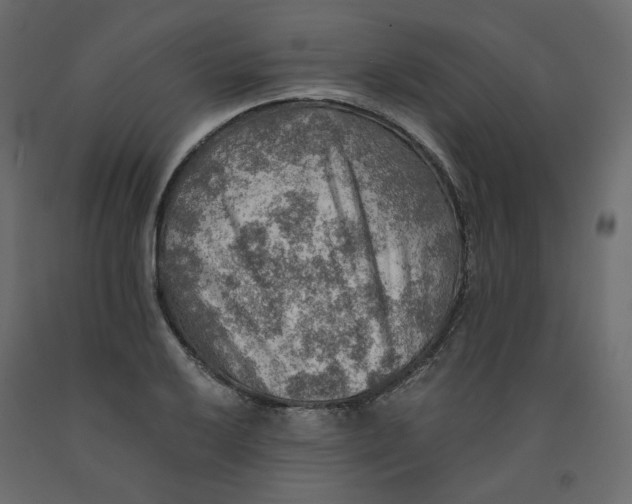 X0000091961032200710041024
