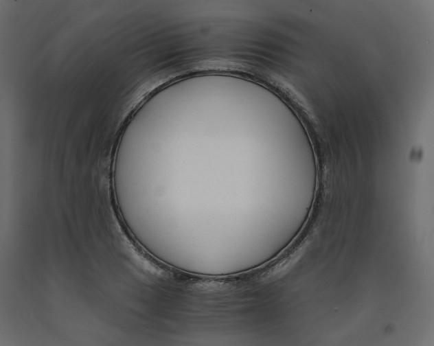 X0000091961033200710041024