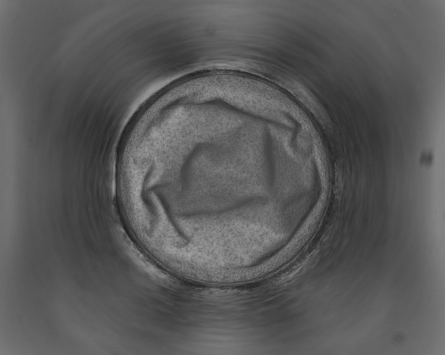X0000091961036200710041024