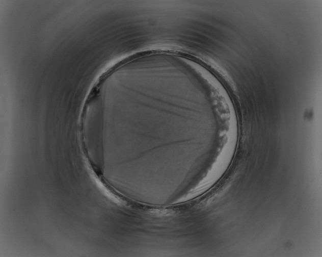 X0000091961037200710041024