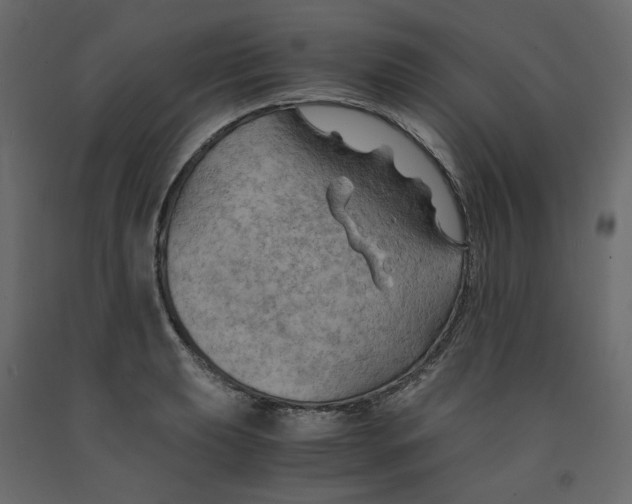 X0000091961039200710041024