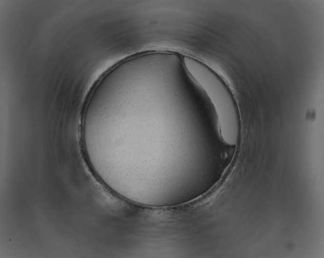 X0000091961040200710041024