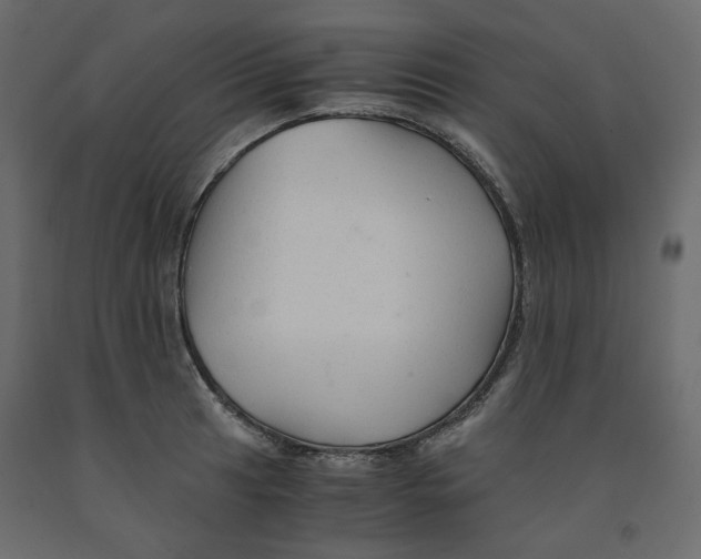 X0000091961041200710041024