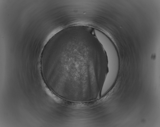 X0000091961042200710041024