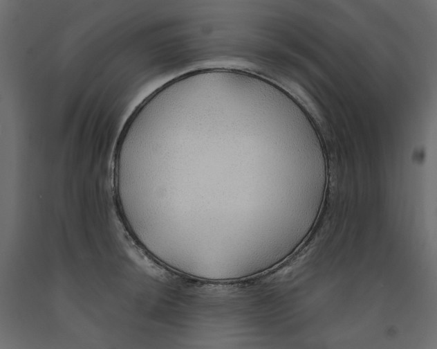 X0000091961044200710041024