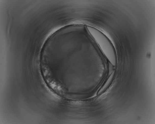 X0000091961045200710041024