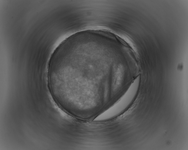 X0000091961046200710041024