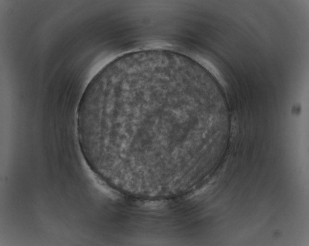 X0000091961047200710041024