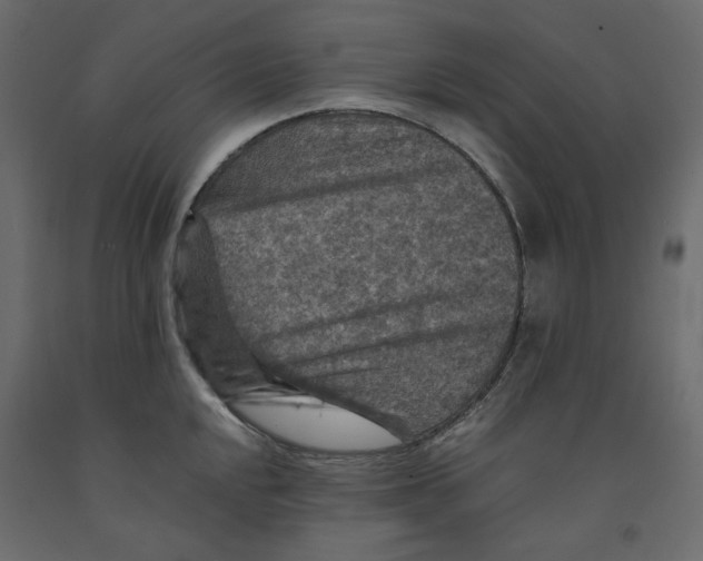 X0000091961048200710041024