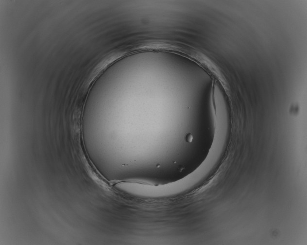 X0000091961049200710041024
